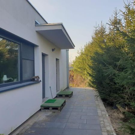 Maly Apartament W Zieleni Blisko Jeziora شرودا فيلكابولسكا المظهر الخارجي الصورة