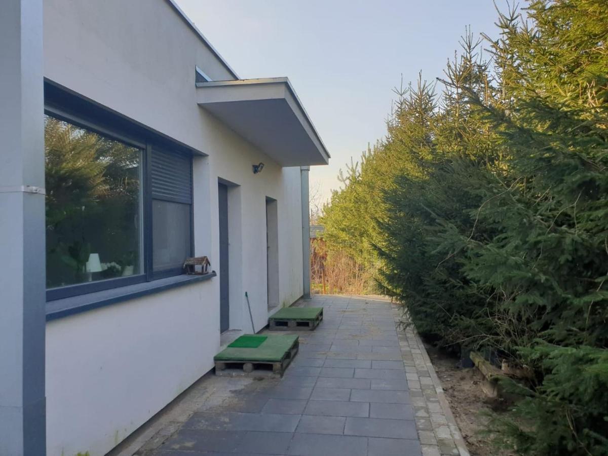 Maly Apartament W Zieleni Blisko Jeziora شرودا فيلكابولسكا المظهر الخارجي الصورة